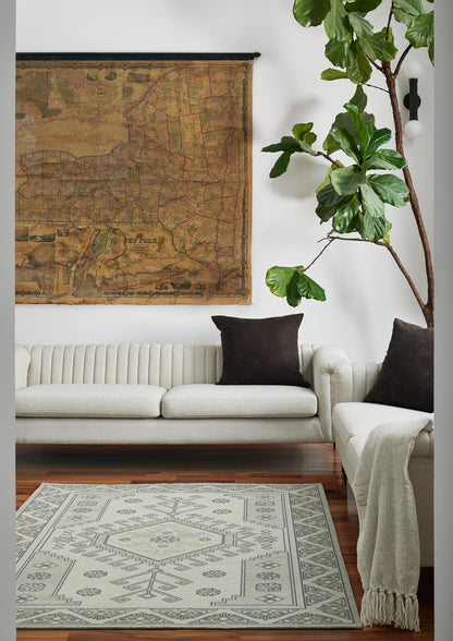 Living room with vintage map wall art, cream sofa with brown pillows, tall plant, and a grey geometric-pattern rug.