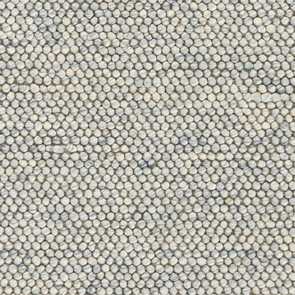 Close-up of a speckled beige-gray-blue loop-pile rug with tiny pebble-like fibers.