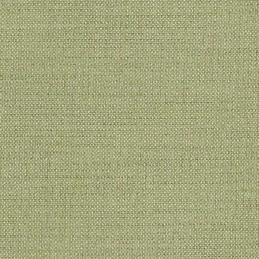 STOUT TEXTILES  UPHOLSTERY,TEXTURE TRADITIONAL, SOLID APPLE,SEEDLING,SPRING   - ARAM-1