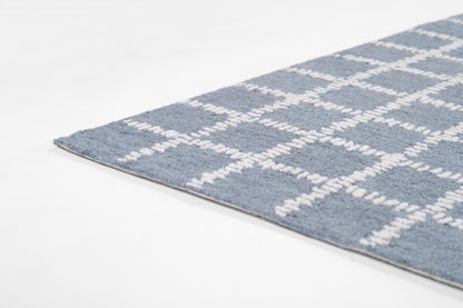Blue area rug with white plaid grid pattern, soft plush texture, rectangular shape, edge detail visible.