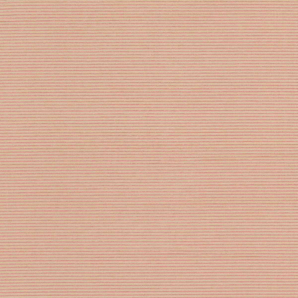 STOUT TEXTILES  MULTIPURPOSE,CHENILLE TRADITIONAL, STRIPE PETAL   - ARDM-7