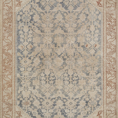 Distressed beige & blue oriental rug with intricate floral medallion pattern & rust border.