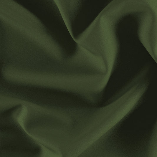 JF Fabrics JF Everyday, FibreGuard Pro ARMOR 76 Fabric Plain,Traditional,Transitional,Contemporary Green  Velvet - 8580876 J8981