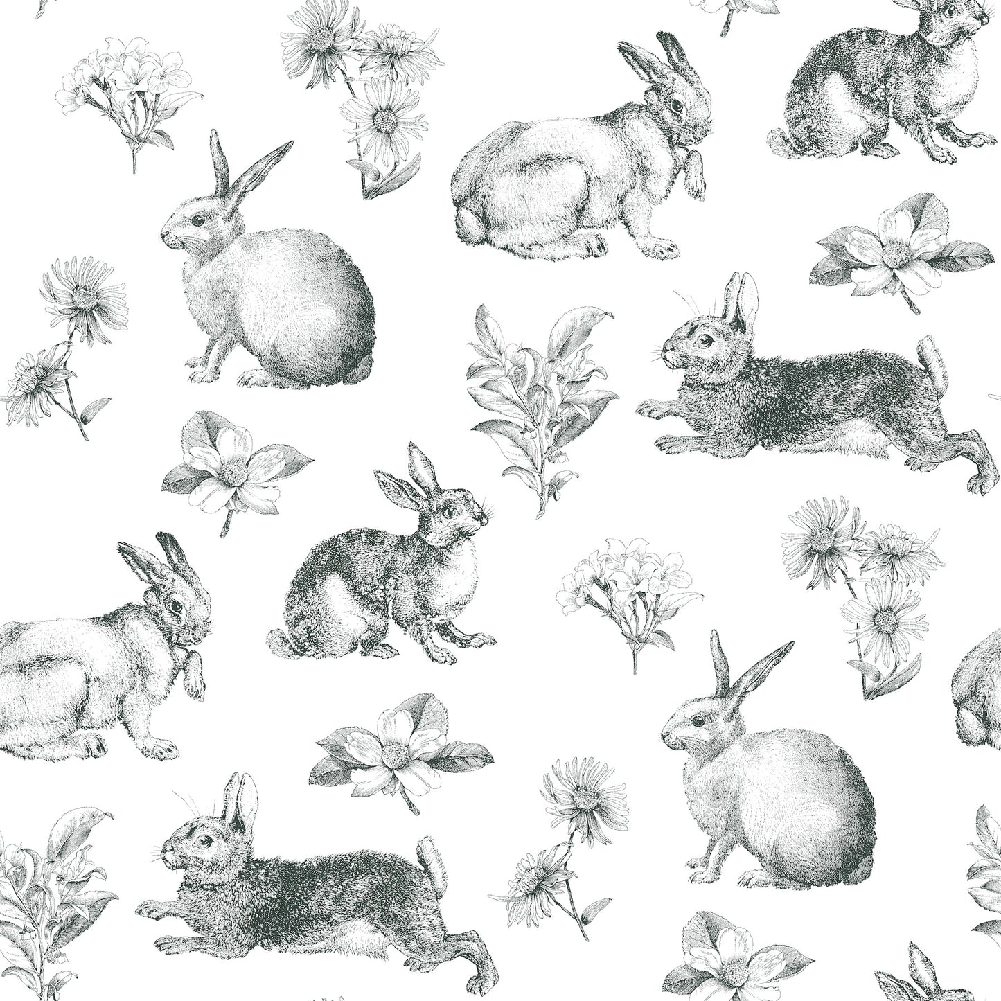 York Wallcoverings Tropics Resource Library Bunny Toile Black and White Wallpaper  Toile Whites and Off-Whites  Wallpaper - AT4263
