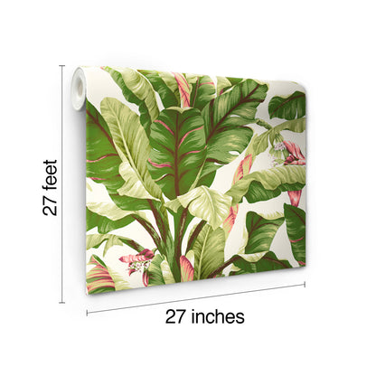 York Wallcoverings Best Sellers Banana Leaf Dark Brown and Pink Wallpaper   Whites and Off-Whites  Wallpaper - AT7067