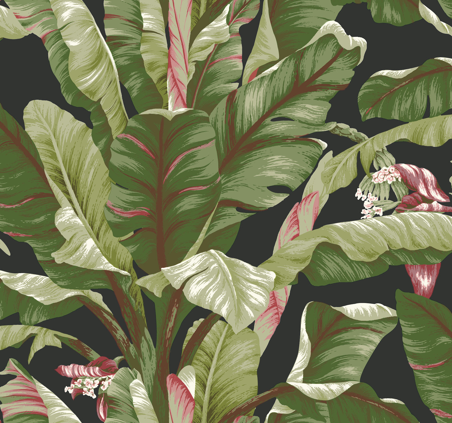 York Wallcoverings Earthy Tones Banana Leaf Black and Red Wallpaper   Whites and Off-Whites  Wallpaper - AT7071
