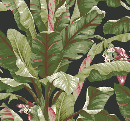 York Wallcoverings Earthy Tones Banana Leaf Black and Red Wallpaper   Whites and Off-Whites  Wallpaper - AT7071