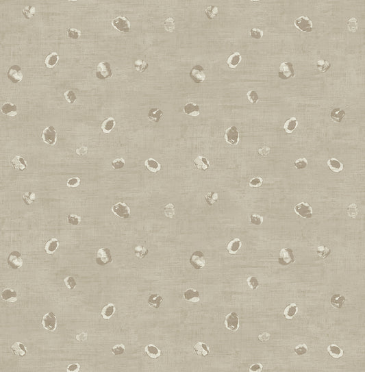 Seabrook Designs Avant Garde Hubble Dots Polka Dots Transitional Grey Metallic Sidewall - AV50606