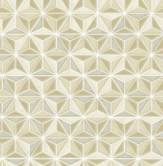 Seabrook Designs Avant Garde Einstein Geometric Geometric Transitional Gold Metallic Sidewall - AV51405