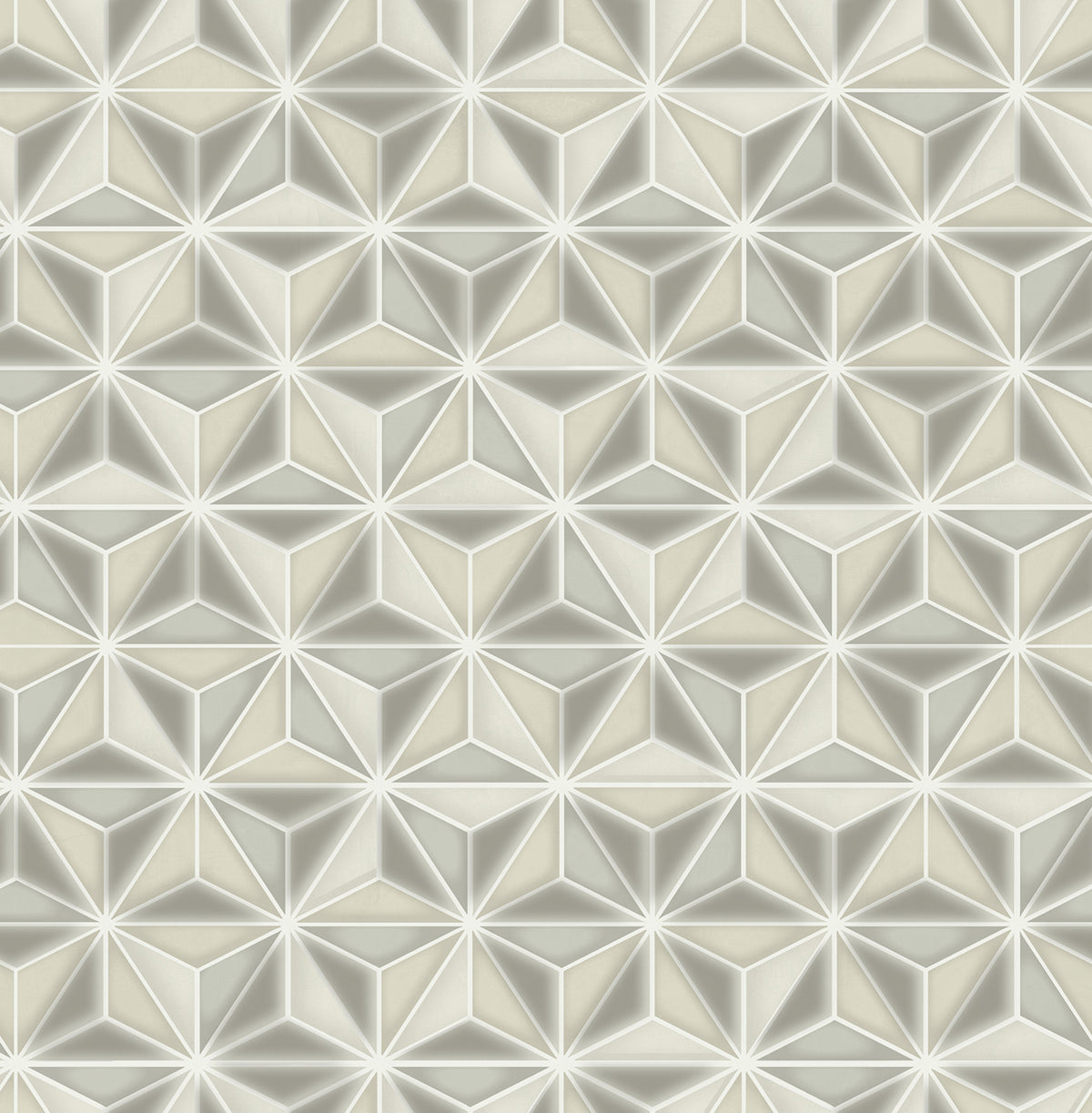 Seabrook Designs Avant Garde Einstein Geometric Geometric Transitional Silver Metallic Sidewall - AV51408