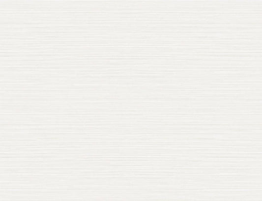Seabrook Designs  Vinyl Grasscloth Faux Grasscloth Modern Eggshell   - AW74500