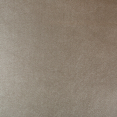 KRAVET DESIGN VINYL/FAUX LEATHER SOLID TAUPE,BRONZE,   - AZERI.106.0