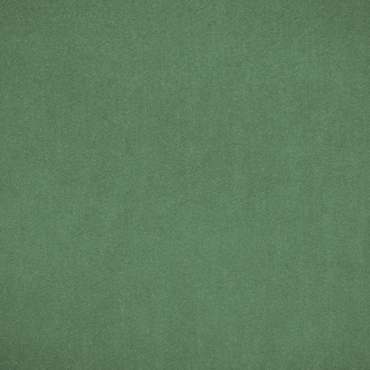 SCALAMANDRE OUTLET  FABRIC JIMENA  FABRIC MEADOW   - B8 0003JIME NEW SKU # B8JIME0003