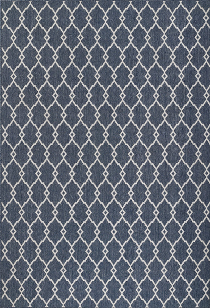 Momeni Rugs   Baja 2'X5'    - BAJA0BAJ-2DNM2346