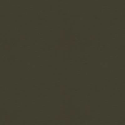 KRAVET CONTRACT VINYL/FAUX LEATHER TEXTURE CHARCOAL,CHARCOAL,   - BALARA.21.0