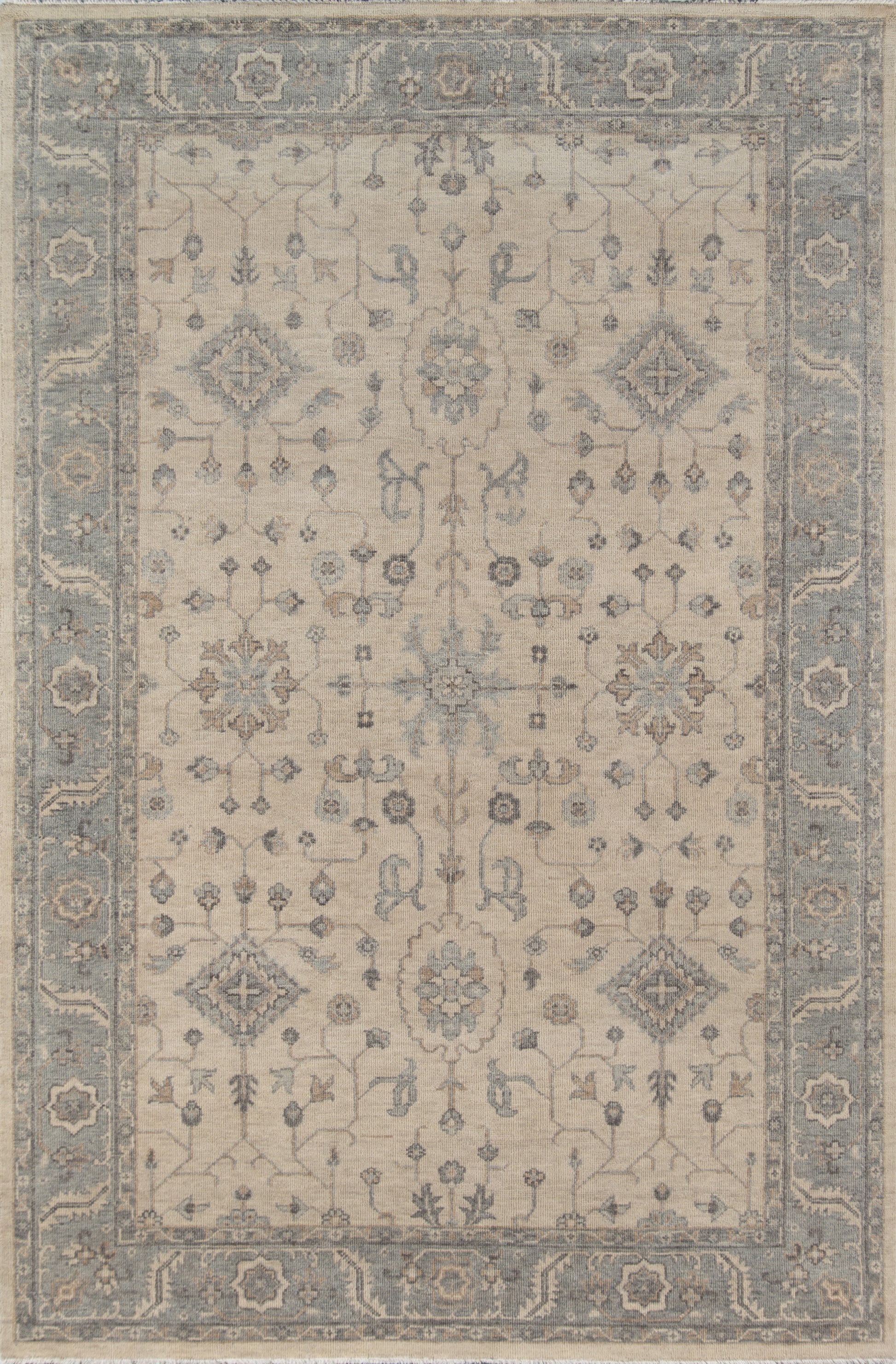 Beige Persian-style area rug with blue-gray border and intricate floral medallions; soft, woven decor rug.