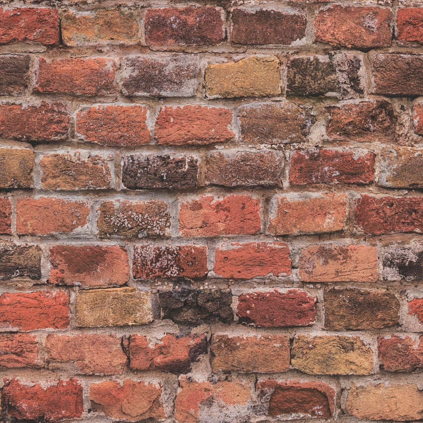 GALERIE WALLCOVERINGS The Bricks And More    Red   - BB51115