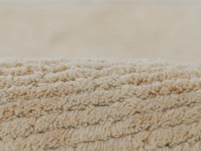 Beige shag rug close-up with fluffy dense pile and plush neutral tones.