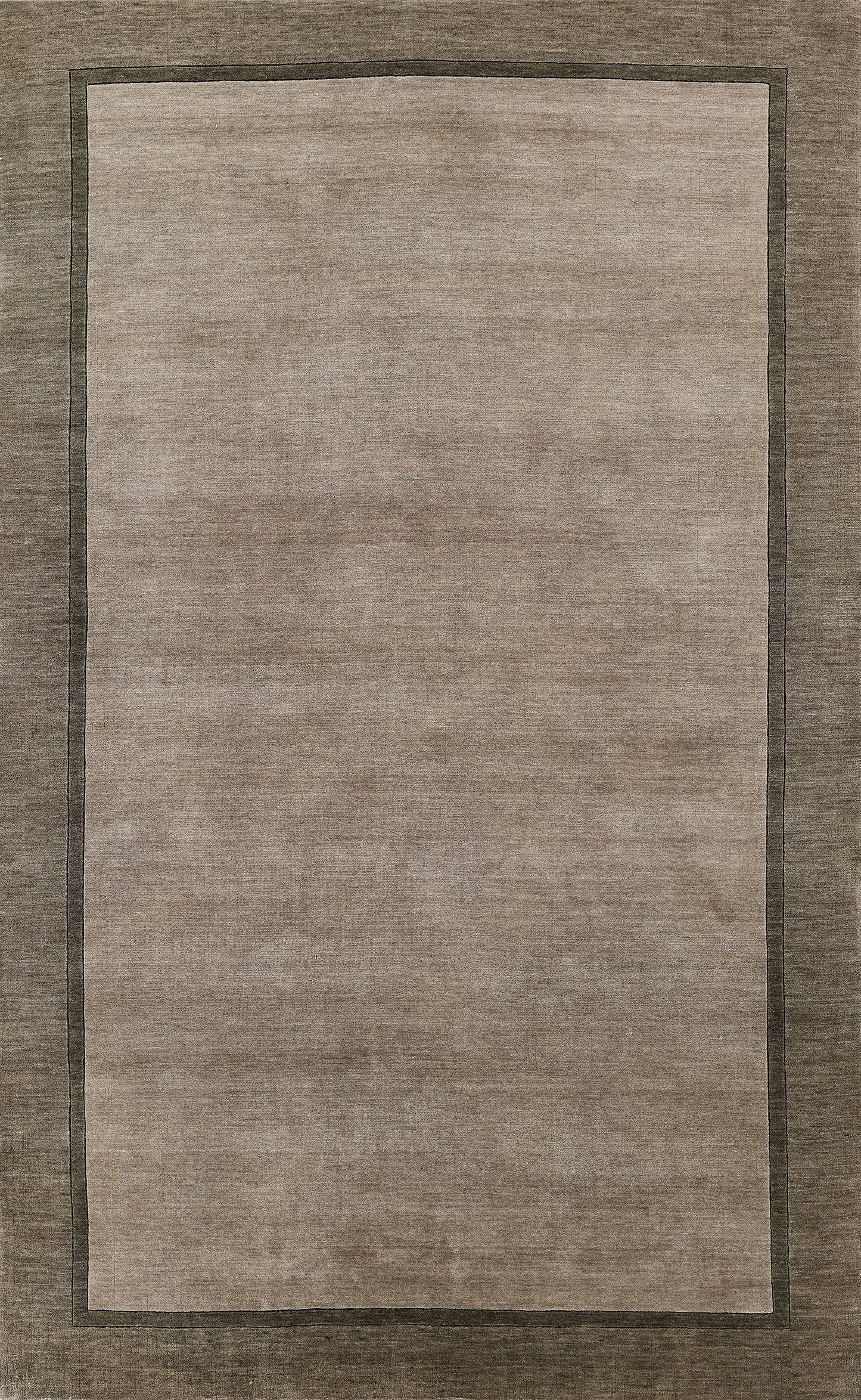Neutral beige-gray rectangular area rug with a lighter central field and darker outer border.