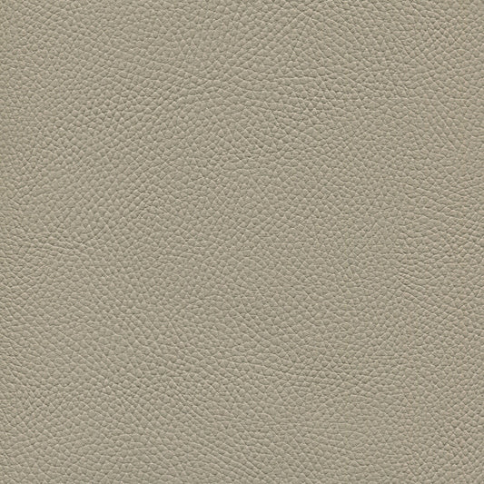 NICHOLASJOHN INC NJ-BELL Zephyr Solid   Fabric - NJ25-294