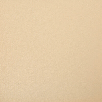 KRAVET CONTRACT VINYL/FAUX LEATHER TEXTURE BEIGE,BEIGE,   - BERTA.16.0