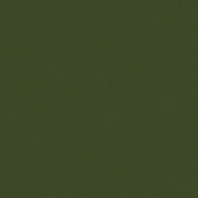 KRAVET CONTRACT VINYL/FAUX LEATHER TEXTURE GREEN,GREEN,   - BERTA.303.0