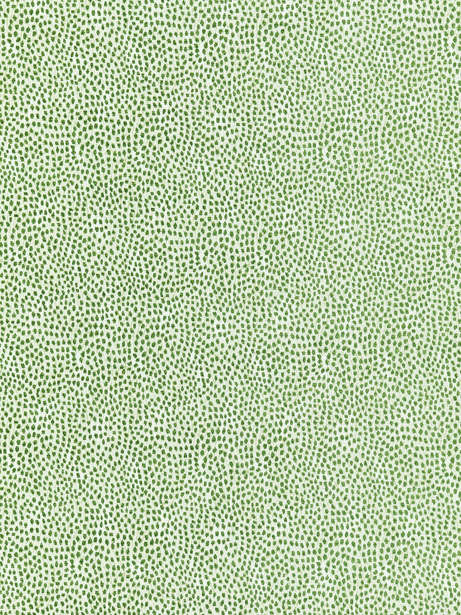 SCALAMANDRE  FLURRY FABRIC LEAF   - BI 00031234