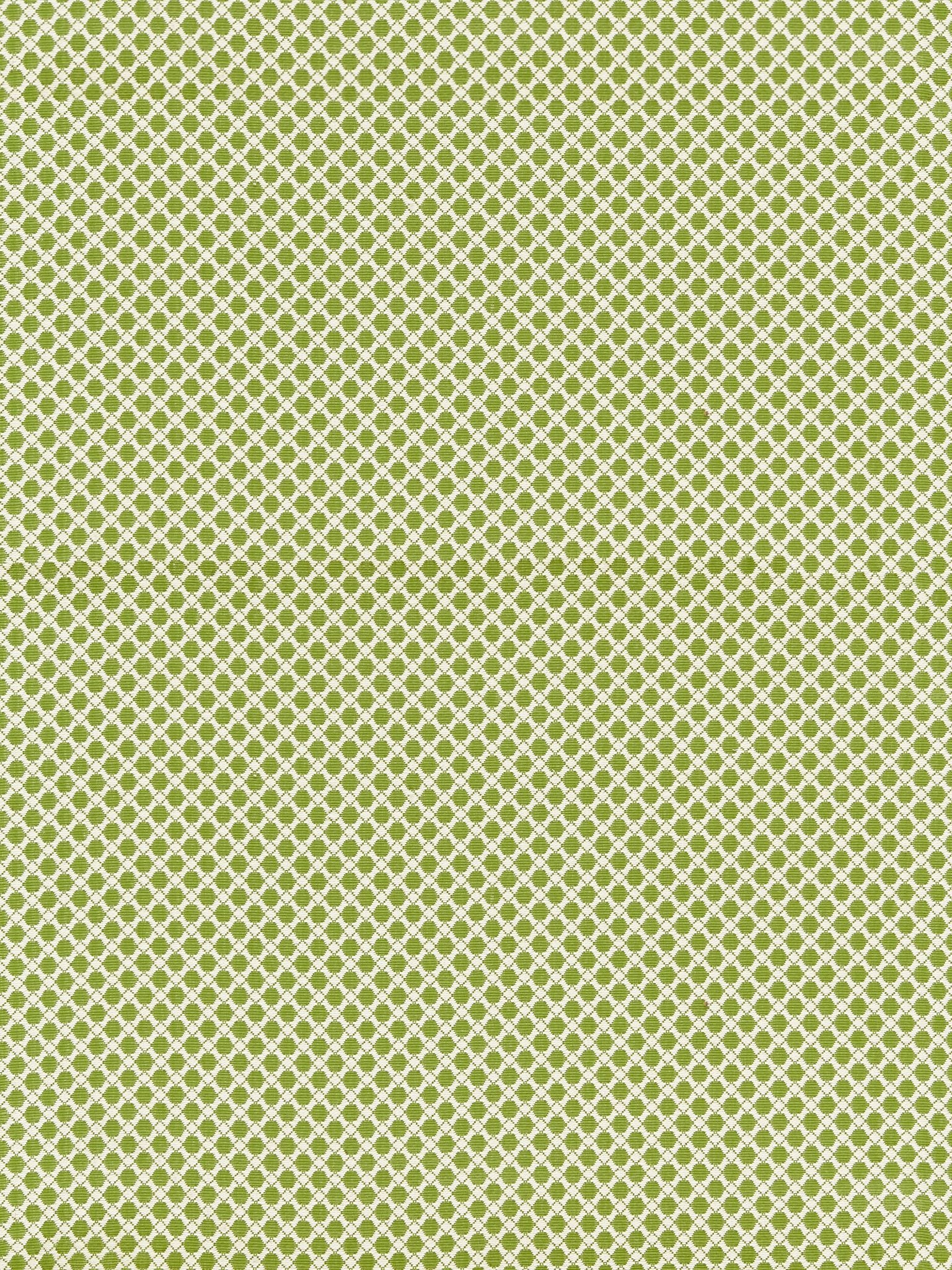 SCALAMANDRE  BELLAIRE TRELLIS FABRIC LEAF   - BK 0003K65121