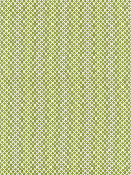 SCALAMANDRE  BELLAIRE TRELLIS FABRIC LEAF   - BK 0003K65121