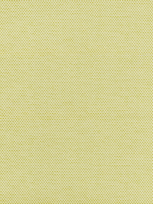 SCALAMANDRE  BERKSHIRE WEAVE FABRIC LIME   - BK 0005K65115