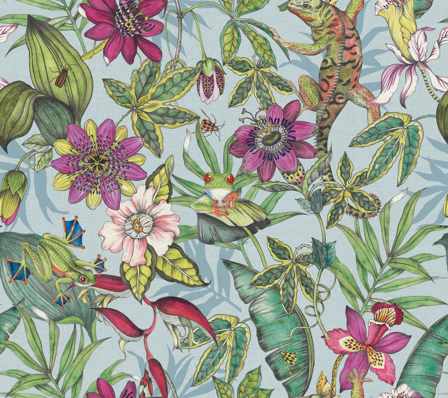 York Wallcoverings Blooms Rainforest Multicolor Wallpaper  Animals Greens  Wallpaper - BL1701