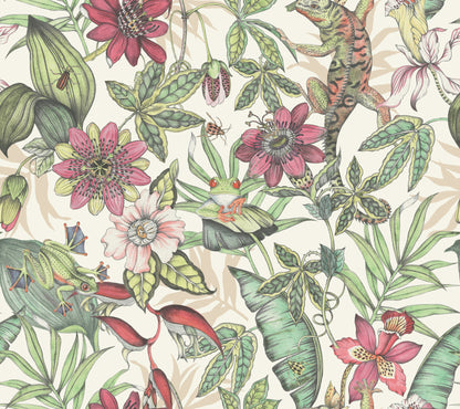 York Wallcoverings Blooms Rainforest Multicolor Wallpaper  Animals Greens  Wallpaper - BL1702