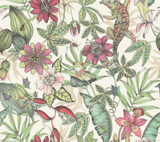 York Wallcoverings Blooms Rainforest Multicolor Wallpaper  Animals Greens  Wallpaper - BL1702