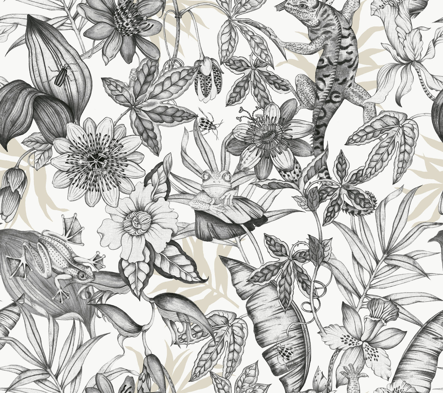 York Wallcoverings Blooms Rainforest White and Charcoal Wallpaper  Animals Blacks  Wallpaper - BL1703