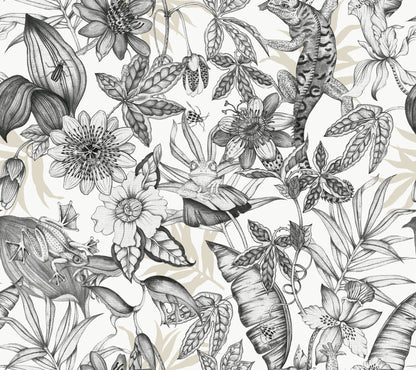 York Wallcoverings Blooms Rainforest White and Charcoal Wallpaper  Animals Blacks  Wallpaper - BL1703