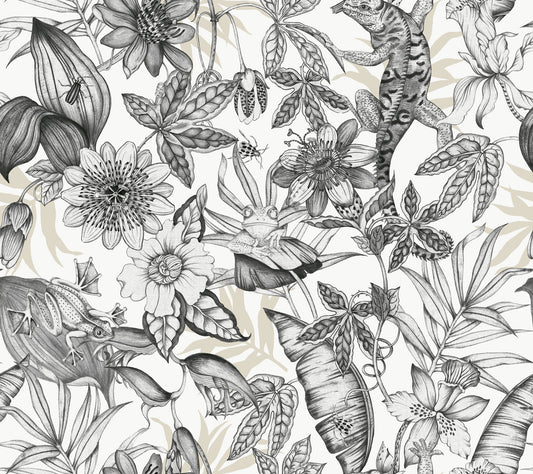 York Wallcoverings Blooms Rainforest White and Charcoal Wallpaper  Animals Blacks  Wallpaper - BL1703