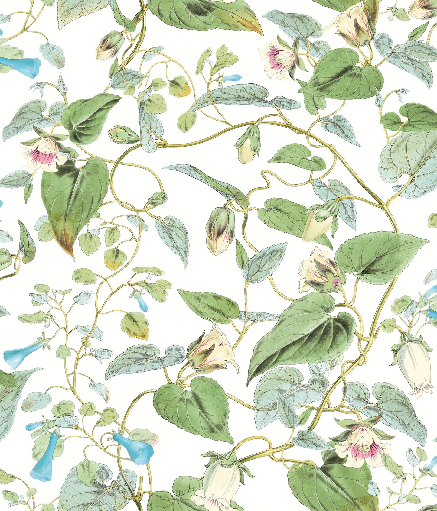 York Wallcoverings Blooms Moon Flower White Wallpaper  Florals and Flowers Whites and Off-Whites  Wallpaper - BL1711