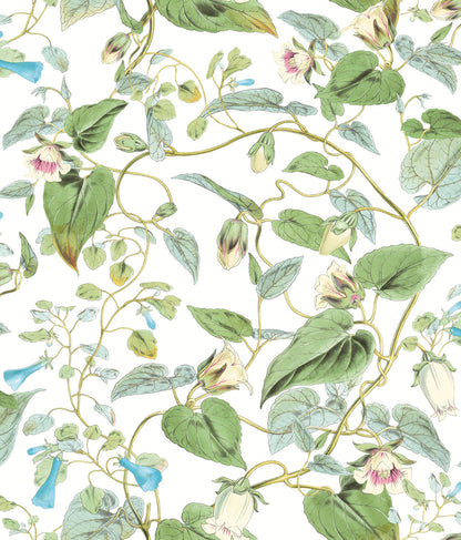 York Wallcoverings Blooms Moon Flower White Wallpaper  Florals and Flowers Whites and Off-Whites  Wallpaper - BL1711