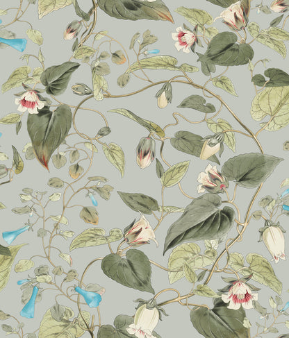 York Wallcoverings Blooms Moon Flower Dove Wallpaper  Florals and Flowers Whites and Off-Whites  Wallpaper - BL1712