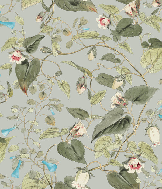 York Wallcoverings Blooms Moon Flower Dove Wallpaper  Florals and Flowers Whites and Off-Whites  Wallpaper - BL1712