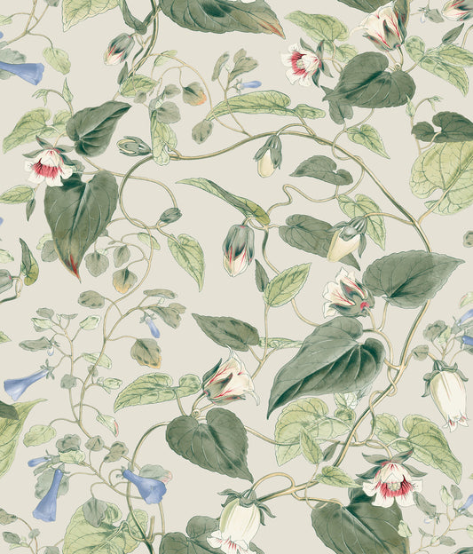 York Wallcoverings Blooms Moon Flower Light Taupe Wallpaper  Florals and Flowers Whites and Off-Whites  Wallpaper - BL1713