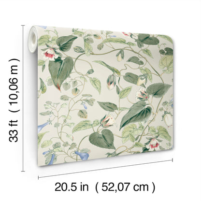 York Wallcoverings Blooms Moon Flower Light Taupe Wallpaper  Florals and Flowers Whites and Off-Whites  Wallpaper - BL1713