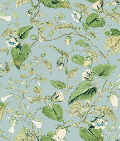 York Wallcoverings Blooms Moon Flower Sky Blue Wallpaper  Florals and Flowers Blues  Wallpaper - BL1714