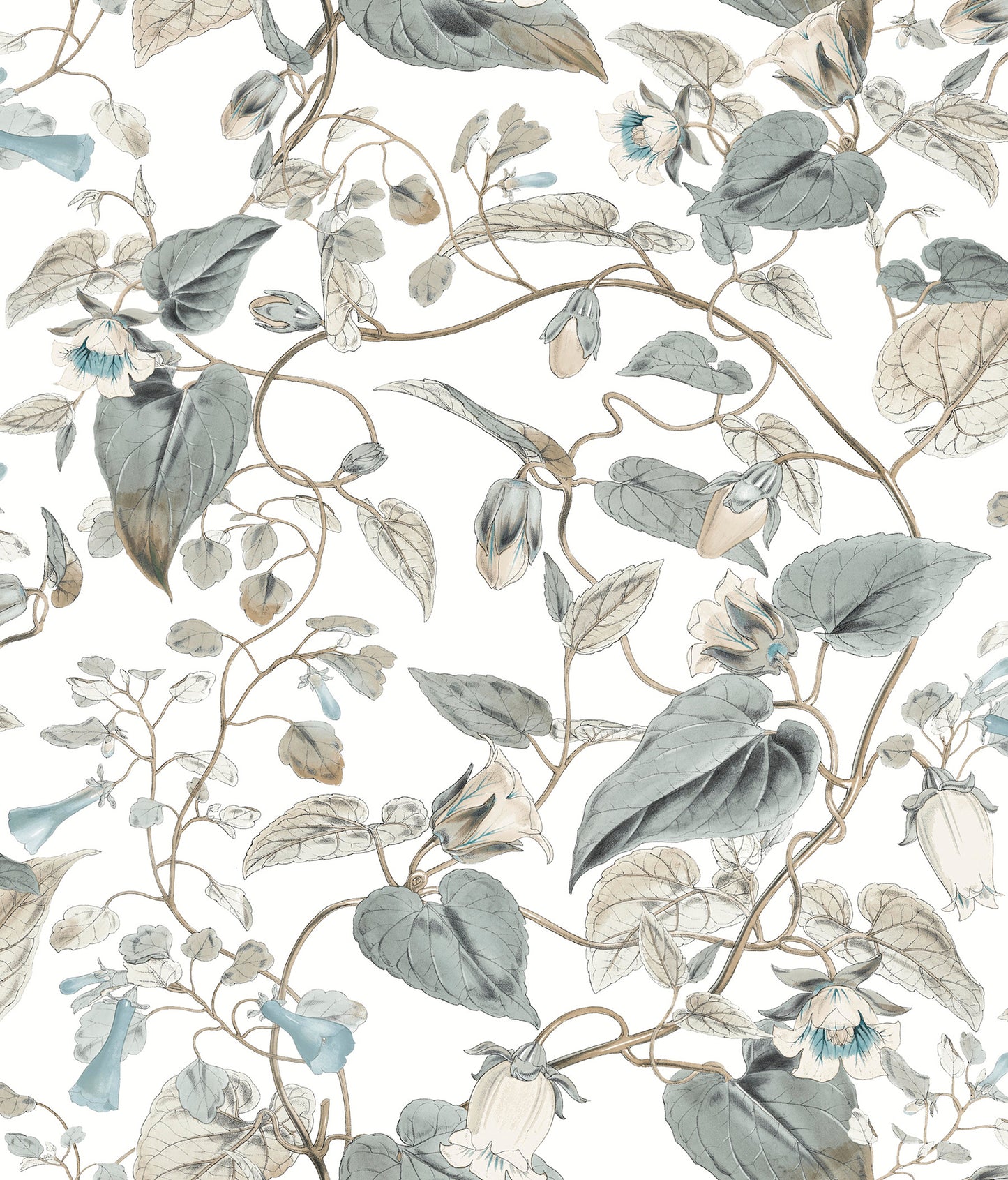 York Wallcoverings Blooms Moon Flower White and Blue Wallpaper  Florals and Flowers Whites and Off-Whites  Wallpaper - BL1715