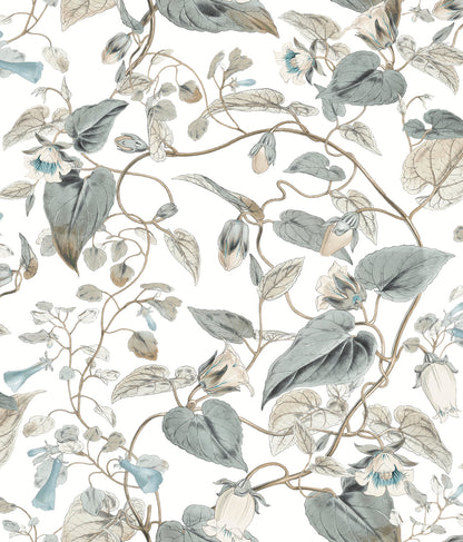 York Wallcoverings Blooms Moon Flower White and Blue Wallpaper  Florals and Flowers Whites and Off-Whites  Wallpaper - BL1715