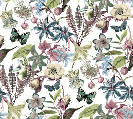 York Wallcoverings Blooms Butterfly House White and Fuchsia Wallpaper  Animals Whites and Off-Whites  Wallpaper - BL1721