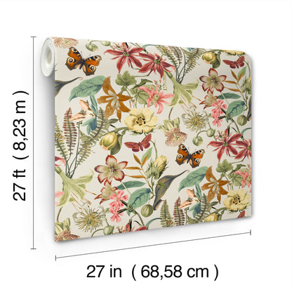 York Wallcoverings Blooms Butterfly House Light Taupe and Coral Wallpaper  Animals Greens  Wallpaper - BL1724