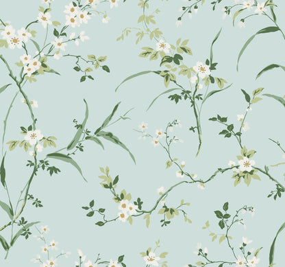 York Wallcoverings Blooms Blossom Branches Spa Blue Wallpaper  Florals and Flowers Blues  Wallpaper - BL1742