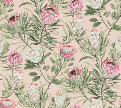 York Wallcoverings Blooms Protea Blush Wallpaper  Florals and Flowers Pinks  Wallpaper - BL1751