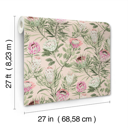 York Wallcoverings Blooms Protea Blush Wallpaper  Florals and Flowers Pinks  Wallpaper - BL1751
